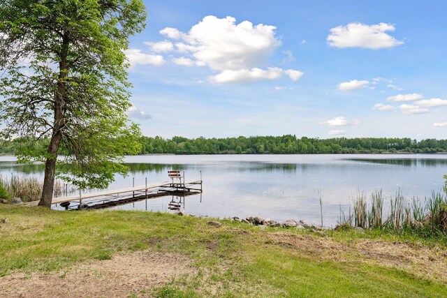 6010 Woodbury Dr, Wright, MN 55798 - photo 46