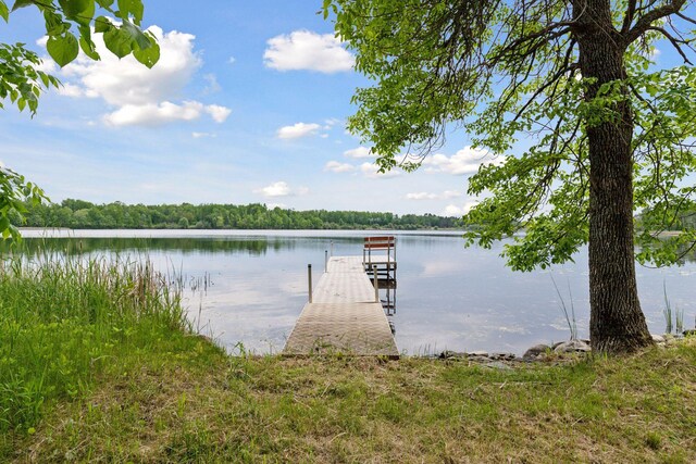 6010 Woodbury Dr, Wright, MN 55798 - photo 47