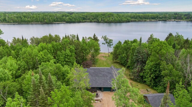 6010 Woodbury Dr, Wright, MN 55798 - photo 52