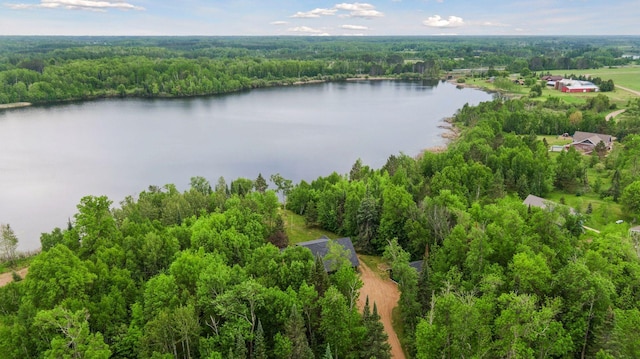 6010 Woodbury Dr, Wright, MN 55798 - photo 53