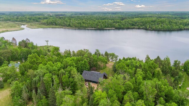 6010 Woodbury Dr, Wright, MN 55798 - photo 54