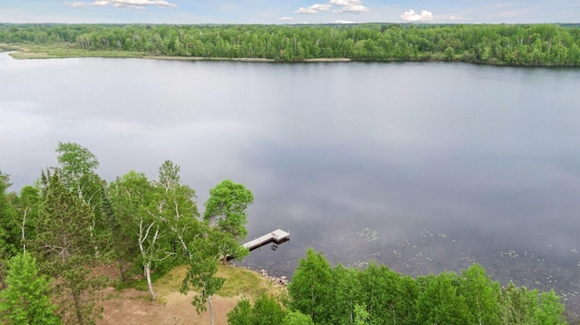 6010 Woodbury Dr, Wright, MN 55798 - photo 63