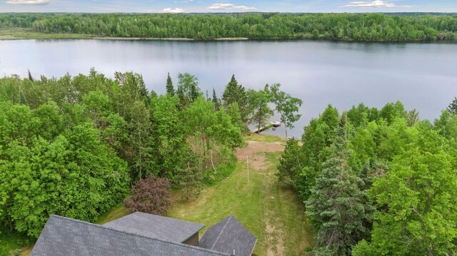 6010 Woodbury Dr, Wright, MN 55798 - photo 65