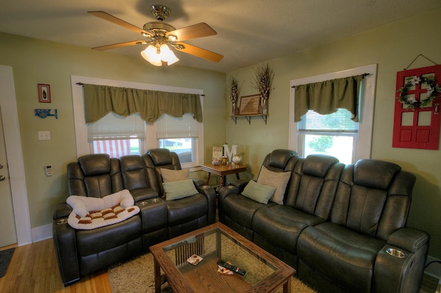 544 7th St, Red Wing, MN 55066 - living room featuring plenty of natural light, ceiling fan, and wood finished floors
