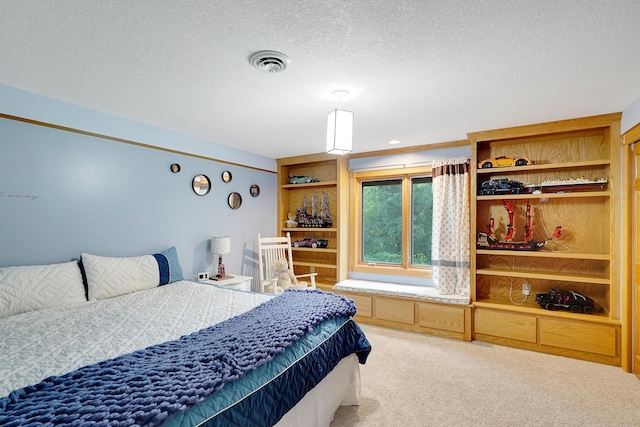 108 1st St, Kenyon, MN 55946 - carpeted bedroom with a textured ceiling