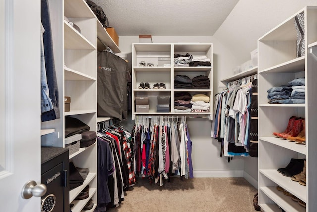 3365 Osgood Way N, Baytown Twp, MN 55082 - spacious closet with carpet