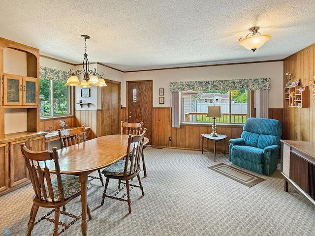 1737 14 1/2 St S, Fargo, ND 58103 - dining space with healthy amount of natural light, wood walls, wainscoting, a textured ceiling, and crown molding