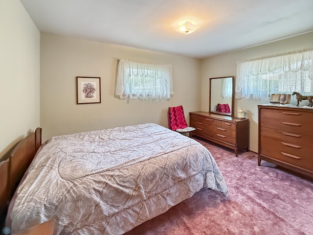 1737 14 1/2 St S, Fargo, ND 58103 - carpeted bedroom with multiple windows