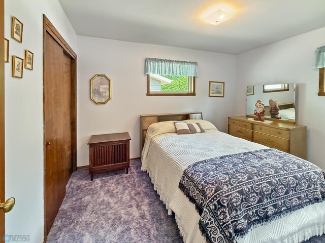 1737 14 1/2 St S, Fargo, ND 58103 - bedroom featuring carpet and a closet