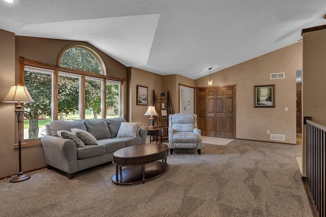 1213 4 1/2 Ave N, Sauk Rapids, MN 56379 - living room featuring lofted ceiling and carpet flooring