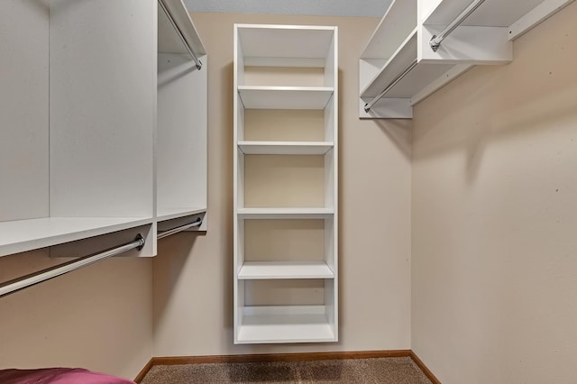 1213 4 1/2 Ave N, Sauk Rapids, MN 56379 - spacious closet with carpet floors