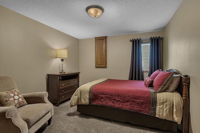 1213 4 1/2 Ave N, Sauk Rapids, MN 56379 - carpeted bedroom with a textured ceiling