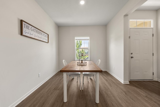 256 16th Ave SE, Lonsdale, MN 55046 - dining space with dark wood finished floors