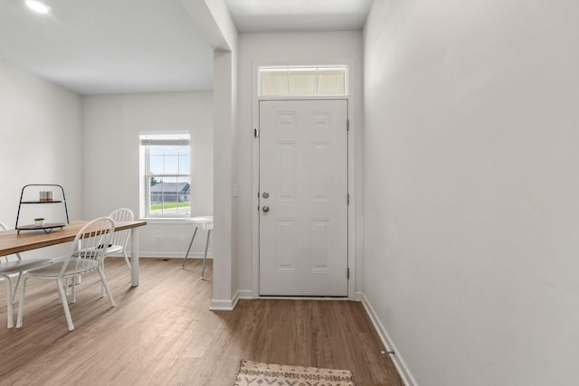 256 16th Ave SE, Lonsdale, MN 55046 - entryway featuring wood finished floors and baseboards