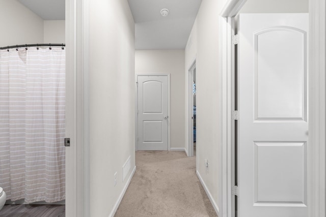 256 16th Ave SE, Lonsdale, MN 55046 - hallway with carpet floors and baseboards
