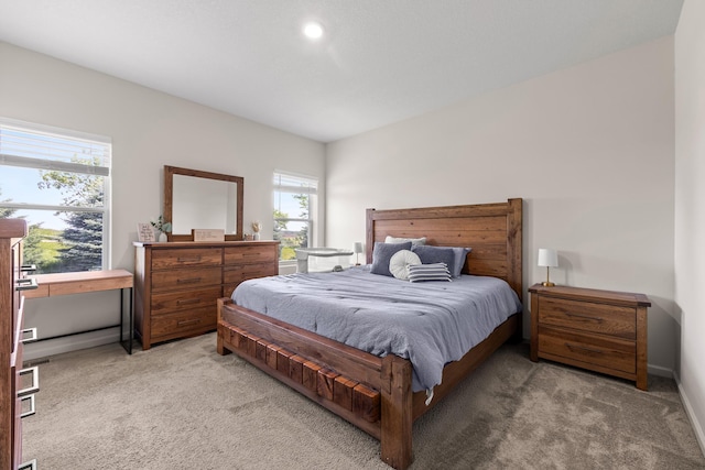 256 16th Ave SE, Lonsdale, MN 55046 - bedroom with light colored carpet and multiple windows