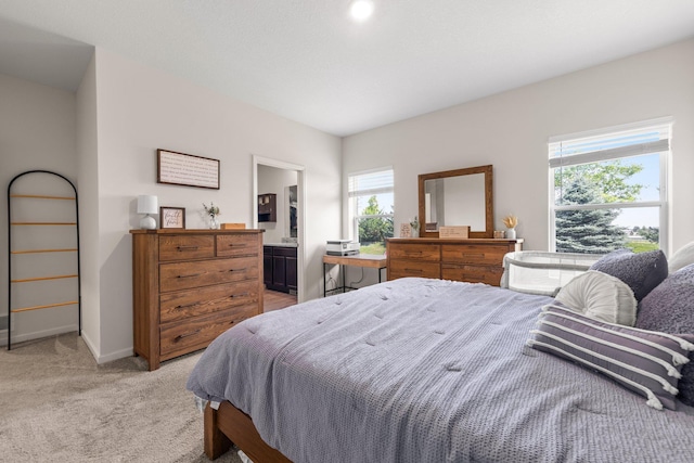 256 16th Ave SE, Lonsdale, MN 55046 - bedroom featuring multiple windows, light colored carpet, and ensuite bathroom
