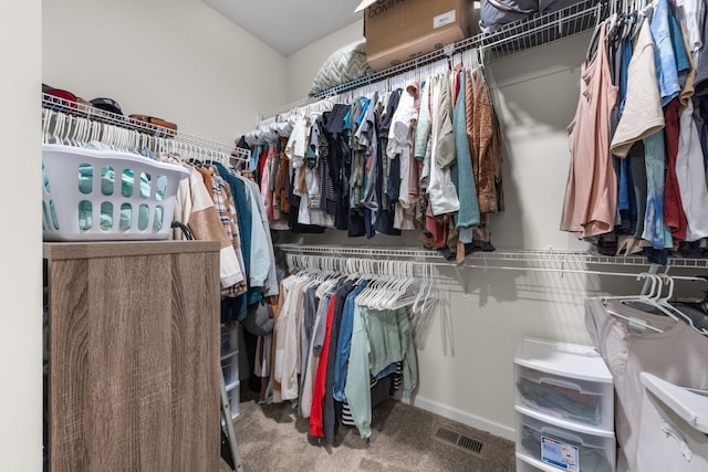 256 16th Ave SE, Lonsdale, MN 55046 - walk in closet featuring carpet floors