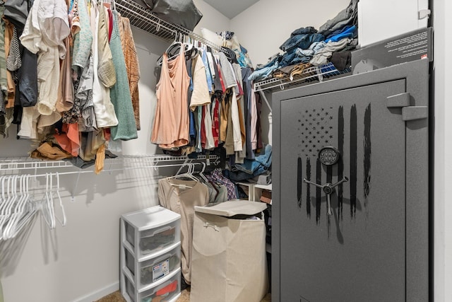 256 16th Ave SE, Lonsdale, MN 55046 - view of walk in closet