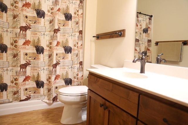 30424 410th Street Unit 4 (Share 3) - Cic #65, Dent, MN 56528 - full bathroom featuring vanity, wood finished floors, and a shower with curtain