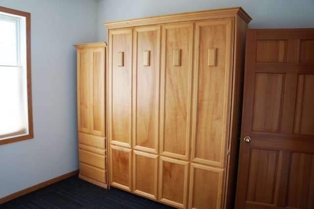 2009 Stahlke Way Unit 15, Chaska, MN 55318 - view of closet