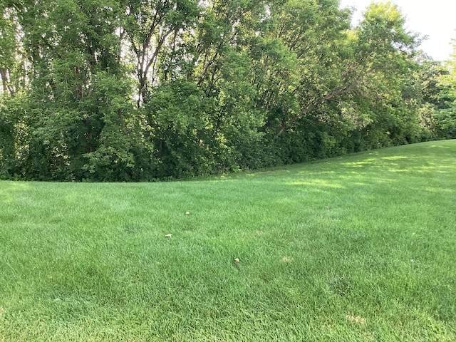 2009 Stahlke Way Unit 15, Chaska, MN 55318 - view of grassy yard