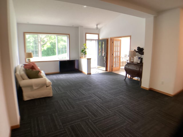 2009 Stahlke Way Unit 15, Chaska, MN 55318 - living room featuring dark colored carpet and lofted ceiling