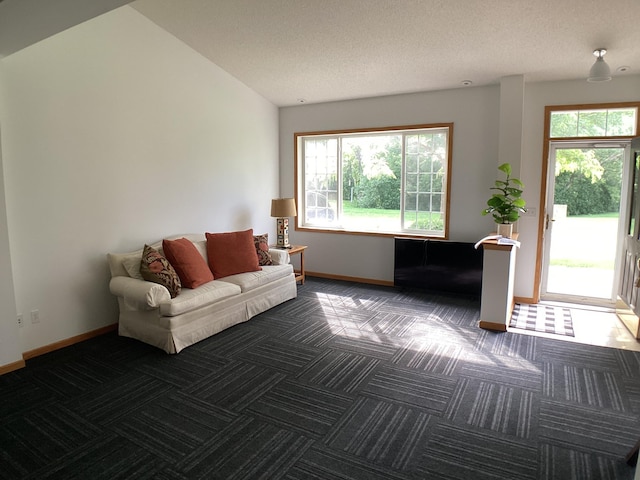 2009 Stahlke Way Unit 15, Chaska, MN 55318 - living room featuring carpet and a textured ceiling