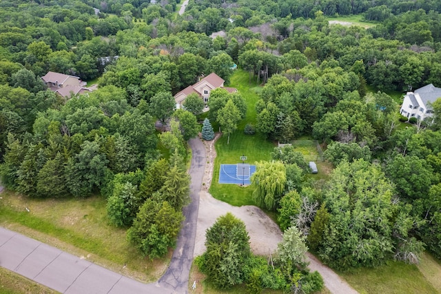18250 221st Ave NW, Big Lake, MN 55309 - aerial view of a forest