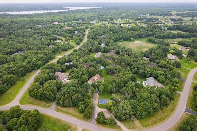 18250 221st Ave NW, Big Lake, MN 55309 - drone / aerial view