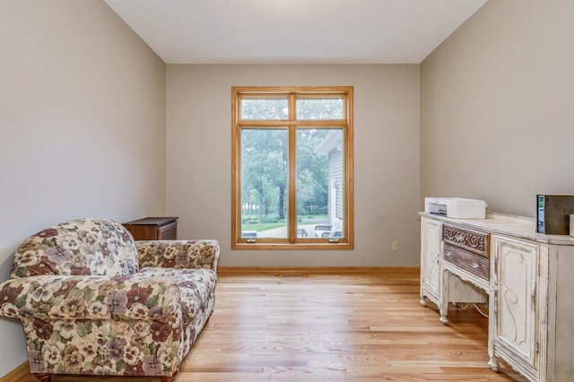 18250 221st Ave NW, Big Lake, MN 55309 - living area featuring light wood finished floors