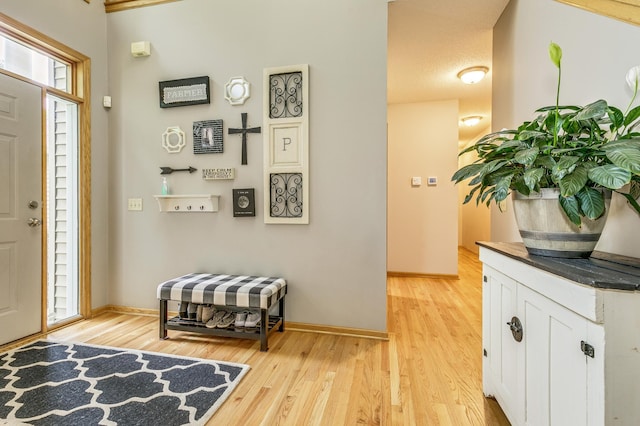18250 221st Ave NW, Big Lake, MN 55309 - entrance foyer with light wood-style floors and baseboards