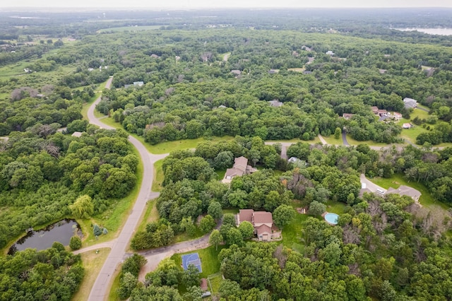 18250 221st Ave NW, Big Lake, MN 55309 - aerial view of a large body of water and a heavily wooded area