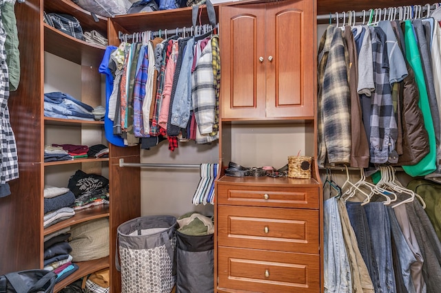 18250 221st Ave NW, Big Lake, MN 55309 - view of spacious closet