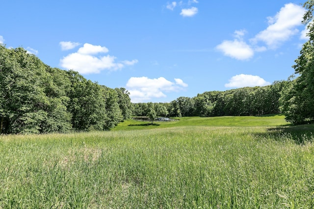 15015 Held Cir, Cold Spring, MN 56320 - view of wooded area