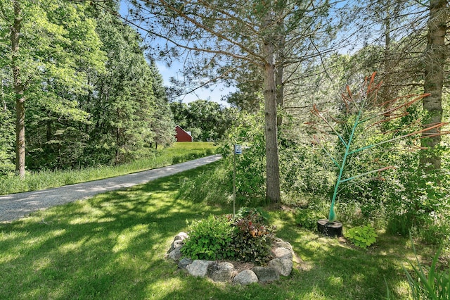 15015 Held Cir, Cold Spring, MN 56320 - view of green lawn with a wooded view