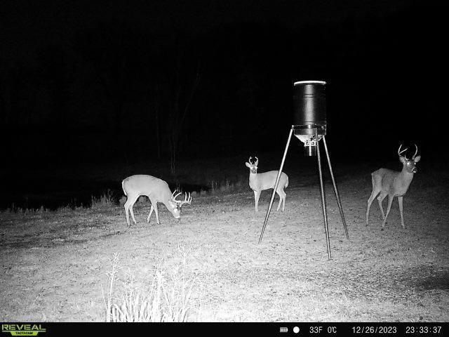 15015 Held Cir, Cold Spring, MN 56320 - view of yard at twilight