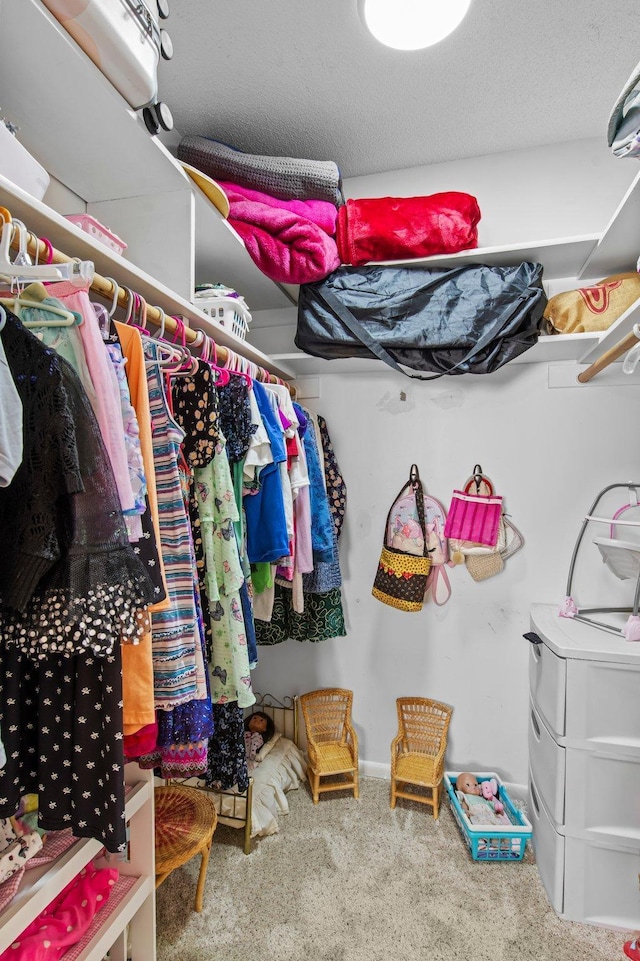 333 8th St SE Unit 120, Minneapolis, MN 55414 - spacious closet featuring carpet floors