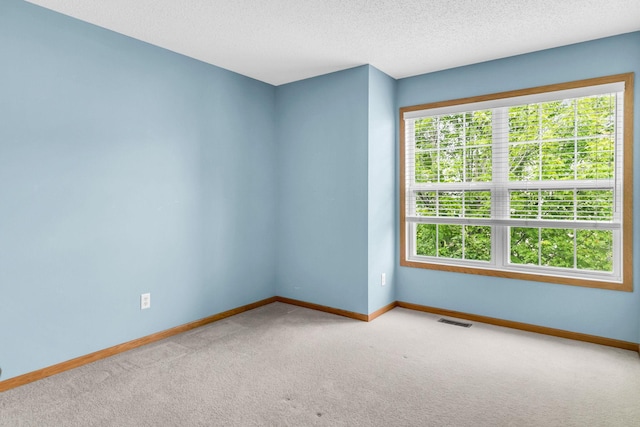 4107 Scott Ave N, Robbinsdale, MN 55422 - empty room with plenty of natural light, carpet, and a textured ceiling