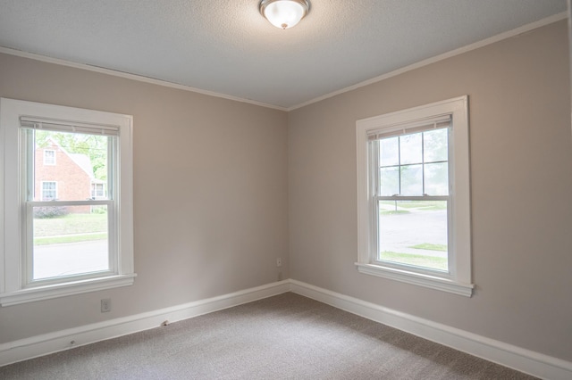 3555 Queen Ave N, Minneapolis, MN 55412 - unfurnished room with crown molding, healthy amount of natural light, carpet flooring, and a textured ceiling