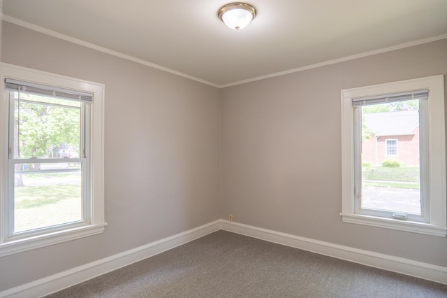 3555 Queen Ave N, Minneapolis, MN 55412 - spare room with dark colored carpet and ornamental molding