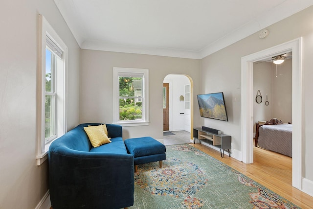 5321 39th Ave S, Minneapolis, MN 55417 - living room featuring arched walkways, wood finished floors, and crown molding