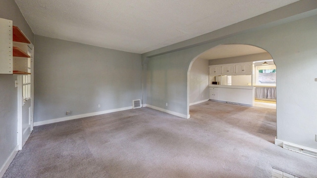 3672 Snelling Ave N, Arden Hills, MN 55112 - unfurnished living room with arched walkways, light carpet, and a textured ceiling