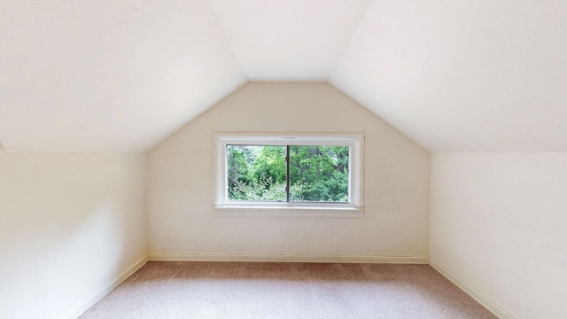 3672 Snelling Ave N, Arden Hills, MN 55112 - bonus room with carpet floors and lofted ceiling