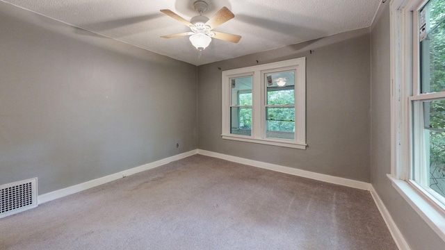 3672 Snelling Ave N, Arden Hills, MN 55112 - carpeted spare room with plenty of natural light, a ceiling fan, and a textured ceiling