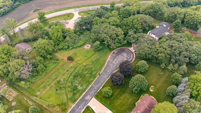 25 Conway Ct SE, Rochester Twp, MN 55904 - view of property location