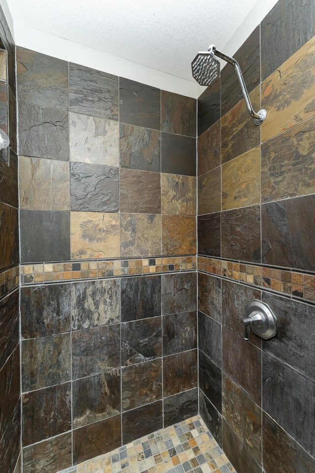 25 Conway Ct SE, Rochester Twp, MN 55904 - bathroom with tiled shower