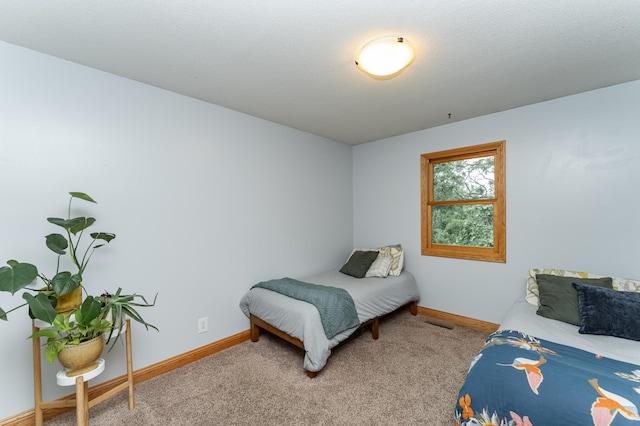 25 Conway Ct SE, Rochester Twp, MN 55904 - bedroom featuring baseboards and carpet