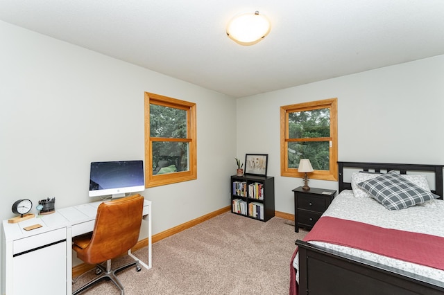25 Conway Ct SE, Rochester Twp, MN 55904 - bedroom featuring light carpet, multiple windows, and an office area
