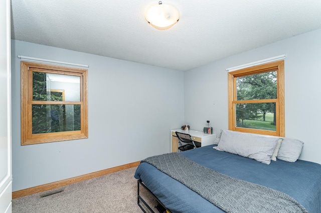 25 Conway Ct SE, Rochester Twp, MN 55904 - bedroom featuring carpet and baseboards